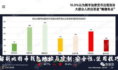 标题: 全面解析比特币钱包地址与密钥：安全性、使用技巧与最佳实践