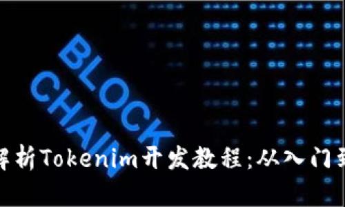 全面解析Tokenim开发教程：从入门到精通