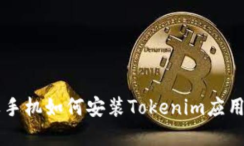 苹果手机如何安装Tokenim应用指南