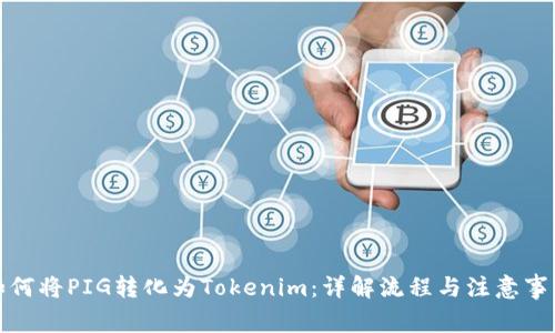 如何将PIG转化为Tokenim：详解流程与注意事项