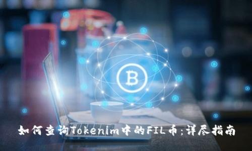 如何查询Tokenim中的FIL币：详尽指南