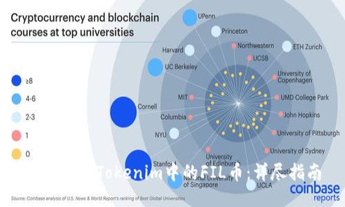 如何查询Tokenim中的FIL币：详尽指南