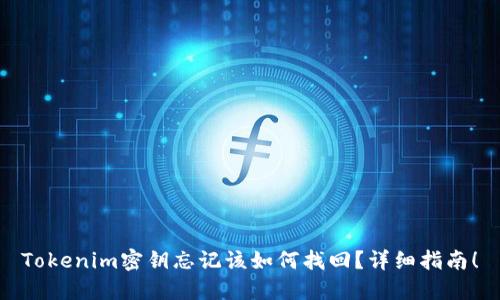 Tokenim密钥忘记该如何找回？详细指南！