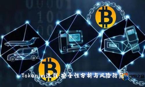 Tokenim洗钱：安全性分析与风险防范