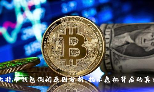 比特币钱包倒闭原因分析：揭示危机背后的真相