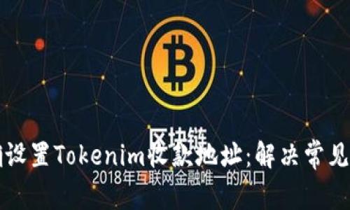 如何正确设置Tokenim收款地址：解决常见问题指南