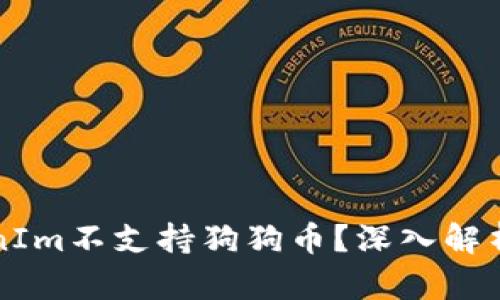 为什么TokenIm不支持狗狗币？深入解析与替代方案