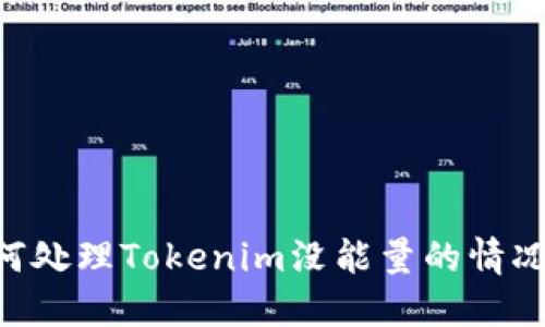 ### 如何处理Tokenim没能量的情况：全面指南