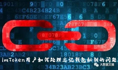 imToken用户如何处理忘记钱包秘钥的问题