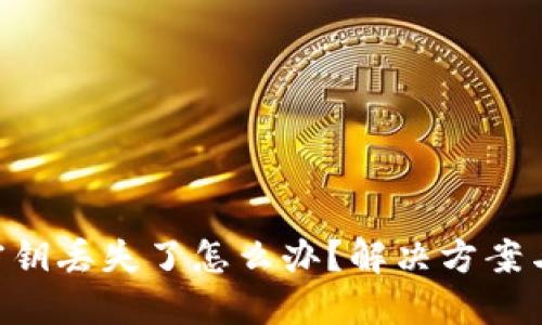 Tokenim密钥丢失了怎么办？解决方案与预防措施