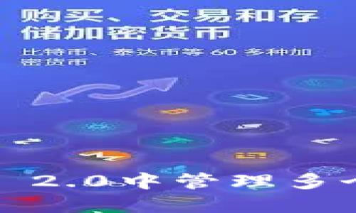 如何在Tokenim 2.0中管理多个账户：全面指南