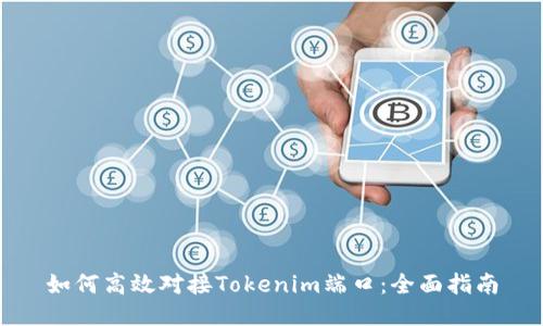 如何高效对接Tokenim端口：全面指南