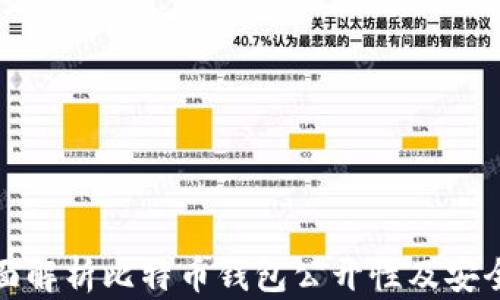 
全面解析比特币钱包公开性及安全性