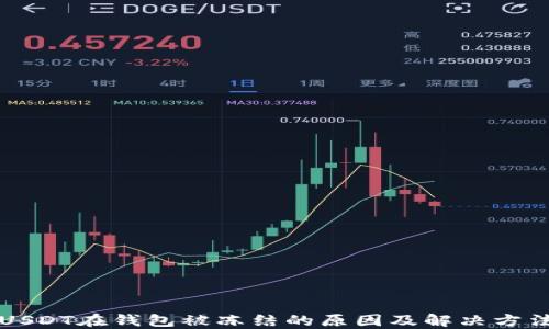 
USDT在钱包被冻结的原因及解决方法