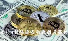  Tokenim转账延迟的原因与解