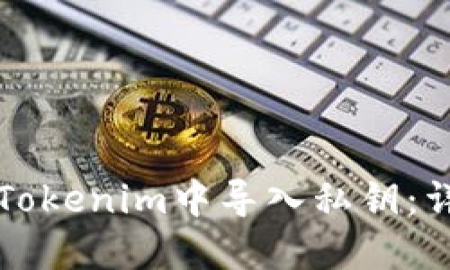 如何在Tokenim中导入私钥：详细指南