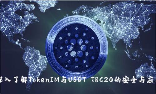 深入了解TokenIM与USDT TRC20的安全与应用