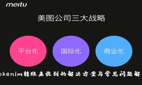 Tokenim转账未收到的解决方案与常见问题解析