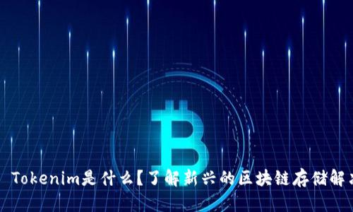 ### Tokenim是什么？了解新兴的区块链存储解决方案