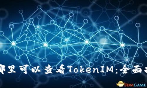 在哪里可以查看TokenIM：全面指南