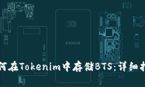 如何在Tokenim中存储BTS：详细指南