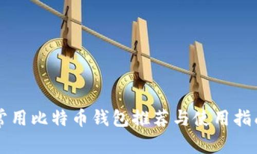 常用比特币钱包推荐与使用指南