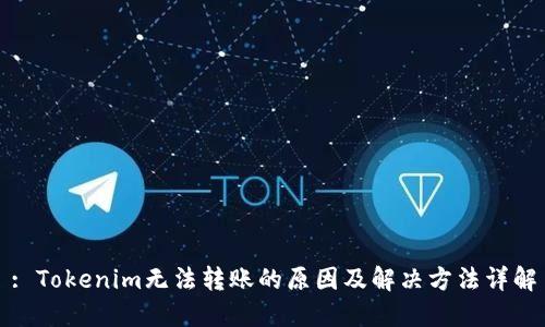 : Tokenim无法转账的原因及解决方法详解