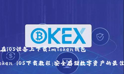 如何在iOS设备上下载ImToken钱包

ImToken iOS下载教程：安全存储数字资产的最佳选择