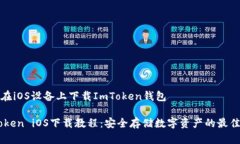 如何在iOS设备上下载ImTo