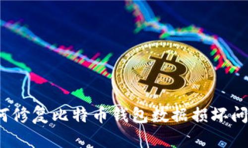 如何修复比特币钱包数据损坏问题？