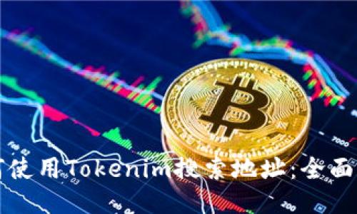如何使用Tokenim搜索地址：全面指南