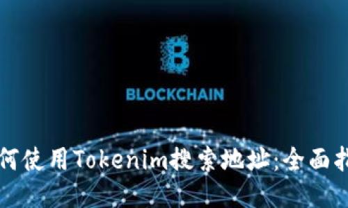 如何使用Tokenim搜索地址：全面指南
