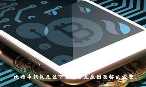比特币钱包无法下载的常见原因及解决方案