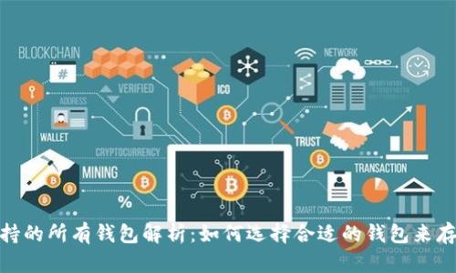 USDT支持的所有钱包解析：如何选择合适的钱包来存储USDT